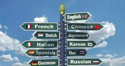 小语种翻译服务的全面解析 从价值到选择